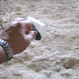 東京2020オリンピック会場　馬事公苑貴賓エントランス