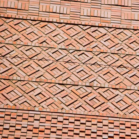 錦サケパラダイス