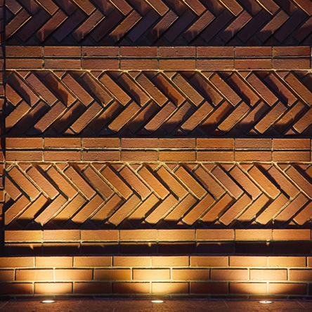 錦サケパラダイス