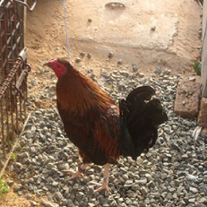 現場周辺の風景