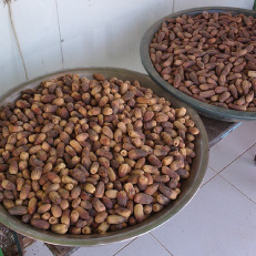 スーダンでの食生活、特産品