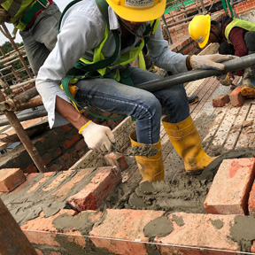 ミャンマー口蹄疫プロジェクト